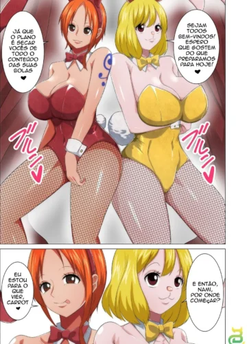 [Q Doujin] Bunny Service (One Piece) - Foto 3